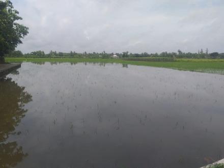 Akibat Hujan Deras